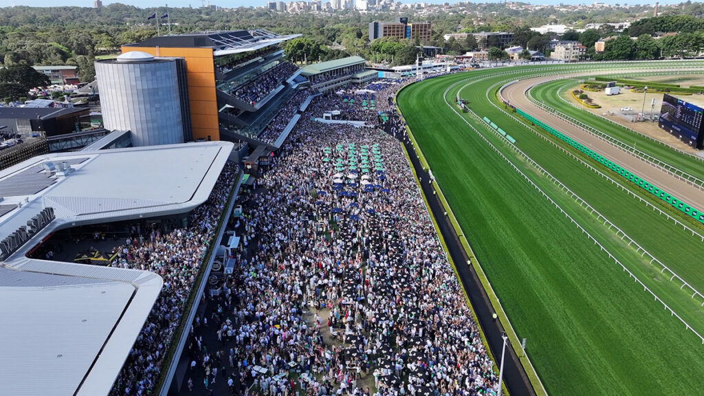 ‘This is a regulator that has lost its way’: Judge blocks RNSW move over ATC